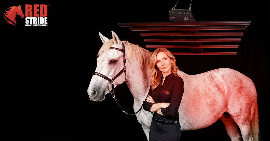 Red Light Therapy for Horses