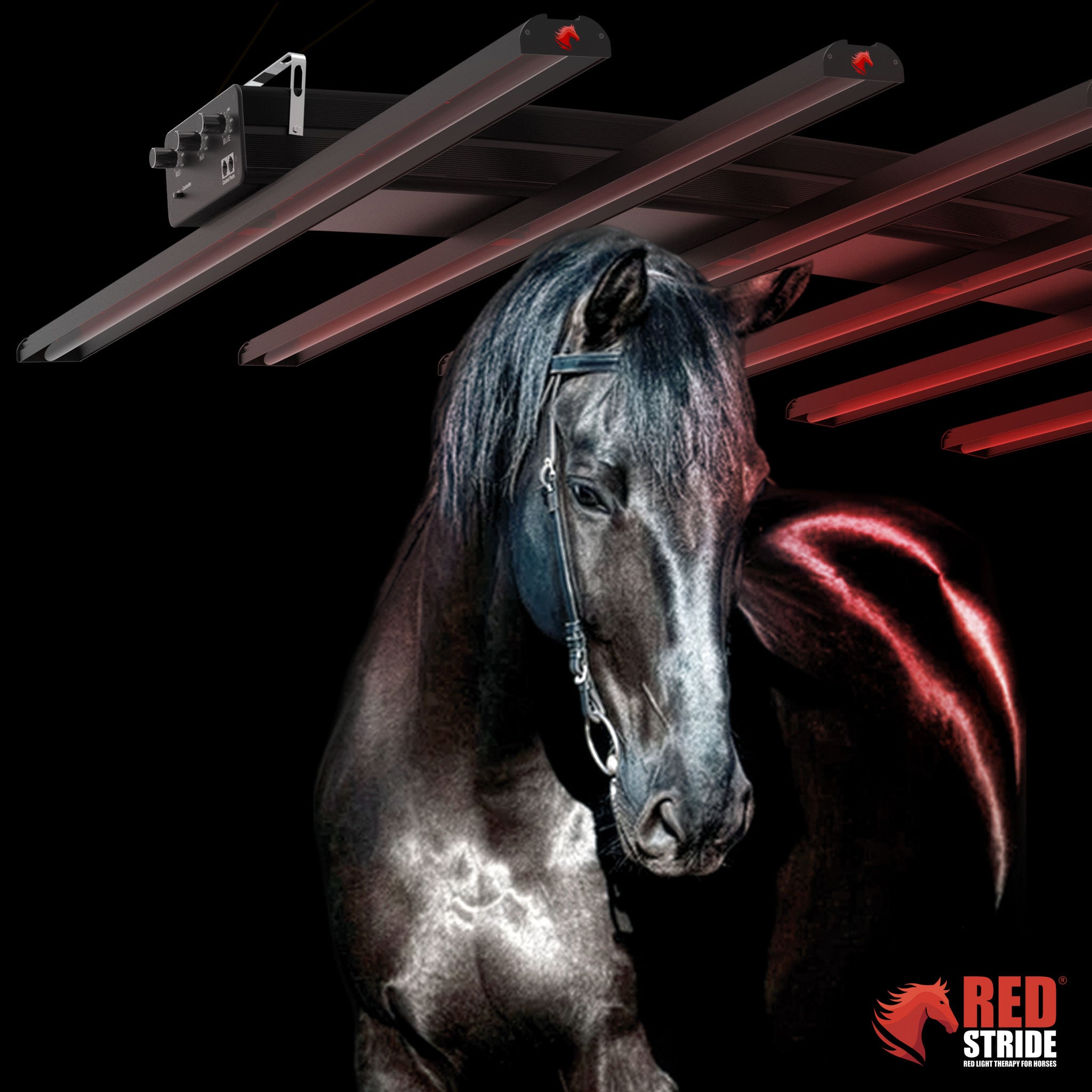 Red Stride® - Horse RLT Panel - RS Multi