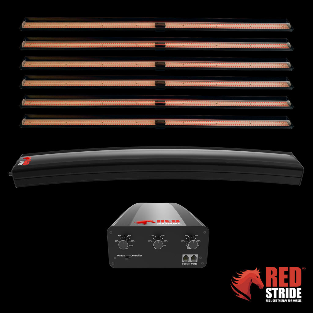 Red Stride® - Horse RLT Panel - RS Multi