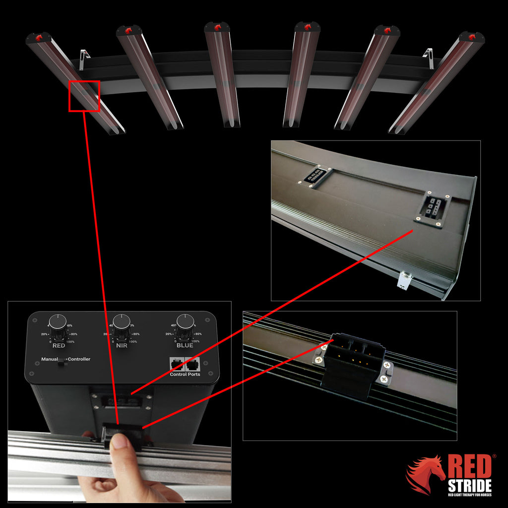 Red Stride® - Horse RLT Panel - RS Multi